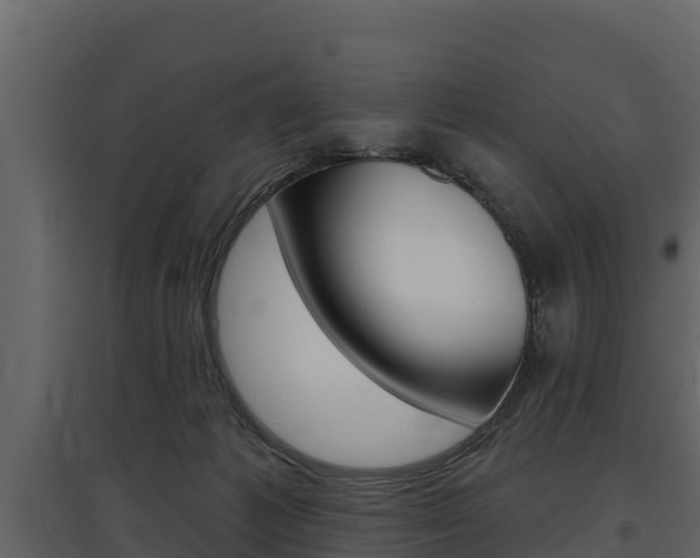 X0000097810221200803140806