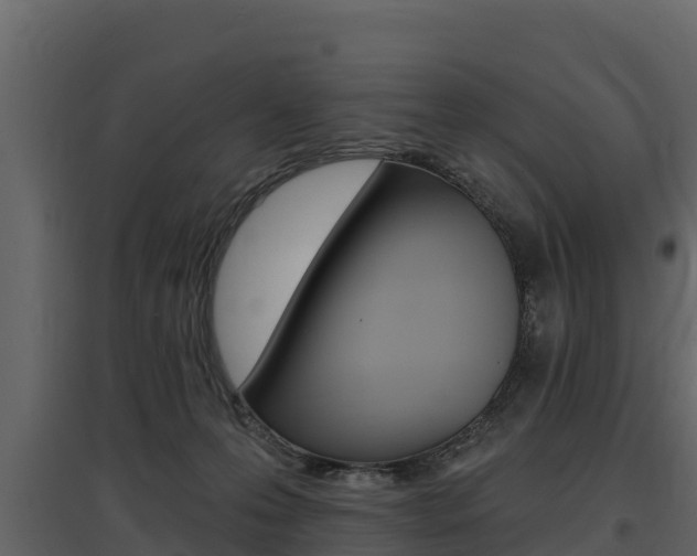 X0000097810223200803140806