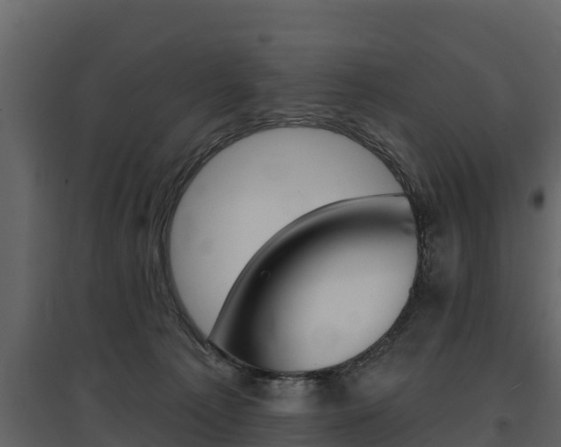 X0000097810225200803140806