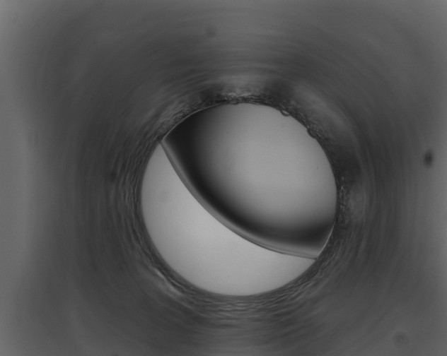 X0000097810227200803140806