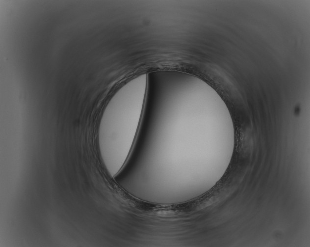 X0000097810228200803140806