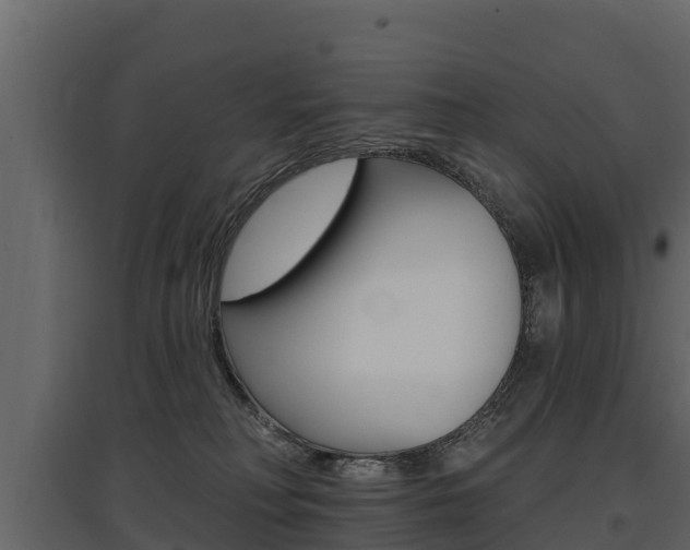 X0000097810230200803140806