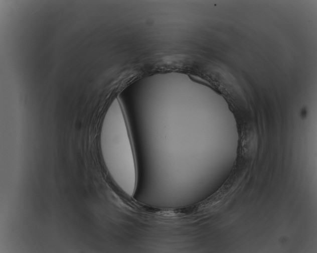 X0000097810231200803140806