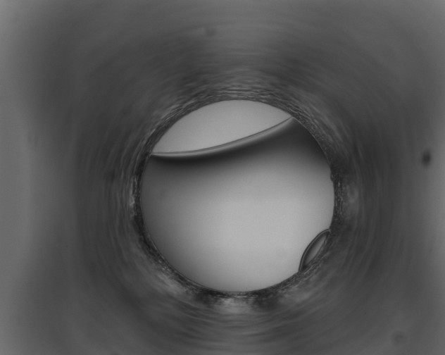 X0000097810232200803140806