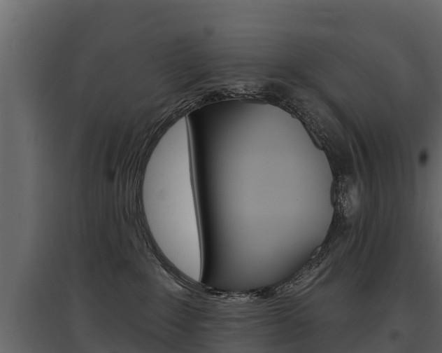 X0000097810235200803140805