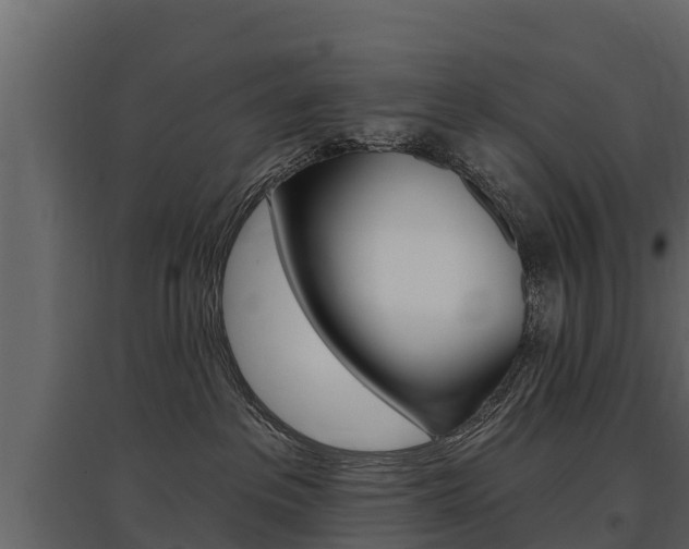 X0000097810237200803140805