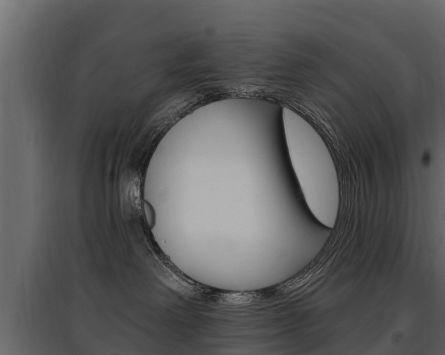 X0000097810238200803140805