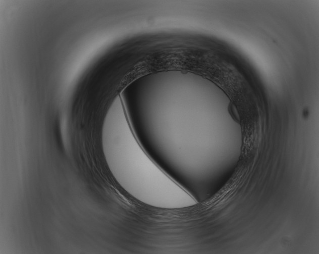 X0000097810239200803140805