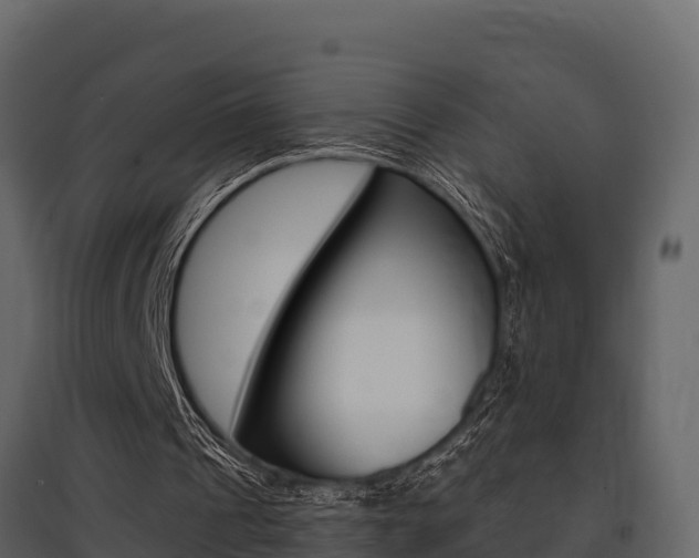 X0000097810241200803140805