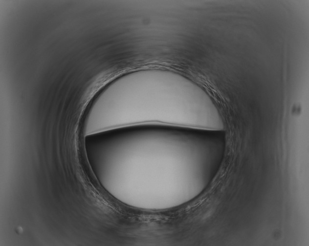 X0000097810242200803140805
