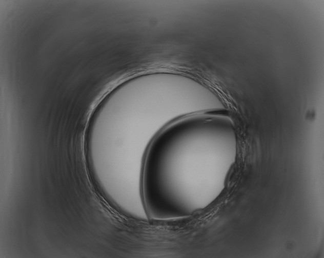 X0000097810244200803140805