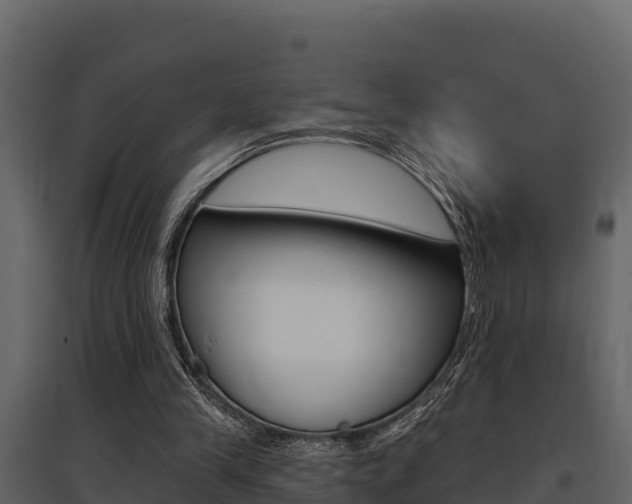 X0000097810245200803140805