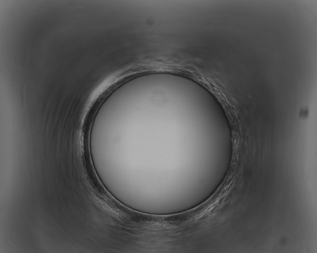 X0000097810246200803140805