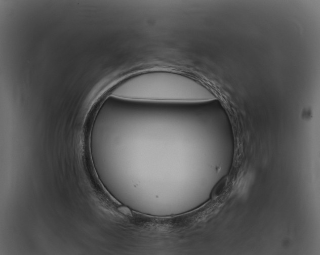 X0000097810247200803140805