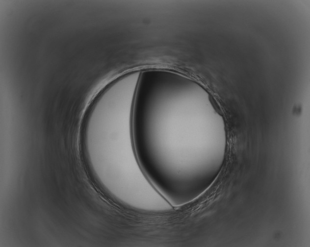 X0000097810248200803140805