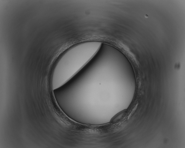 X0000097810250200803140805