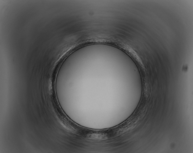 X0000097810251200803140805