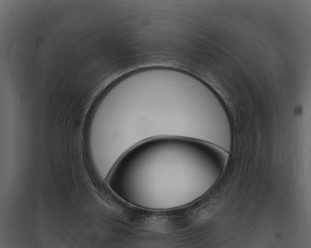 X0000097810252200803140805