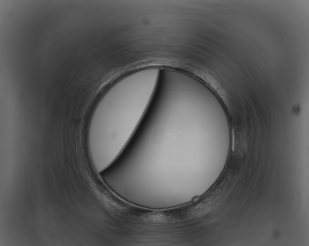 X0000097810253200803140805