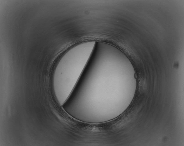 X0000097810254200803140805