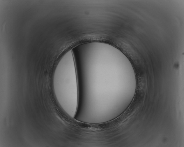 X0000097810255200803140805