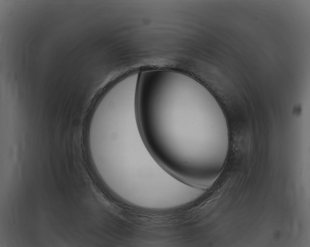 X0000097810256200803140805
