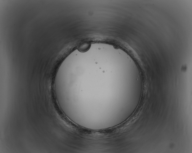 X0000097810257200803140805