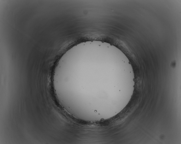 X0000097810259200803140805