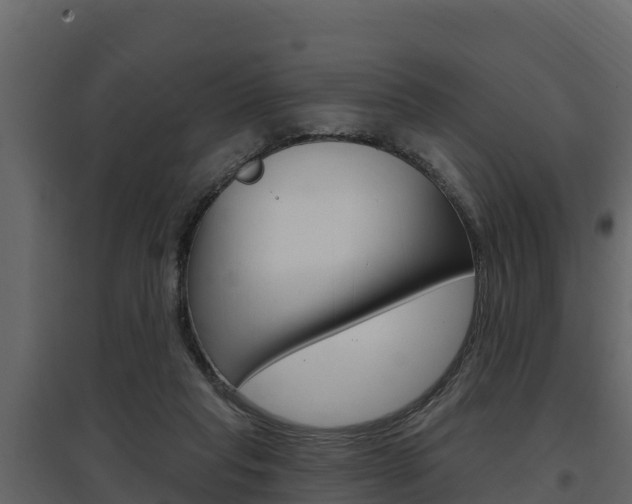 X0000097810261200803140805