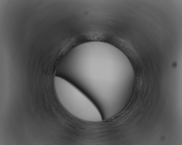 X0000097810263200803140805