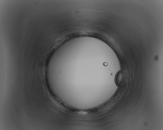 X0000097810265200803140805