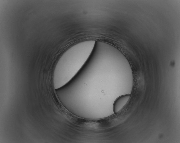 X0000097810266200803140805