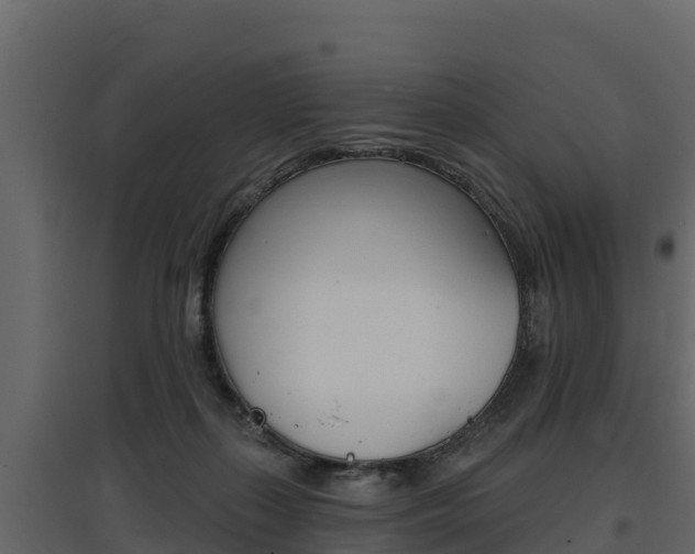 X0000097810267200803140805