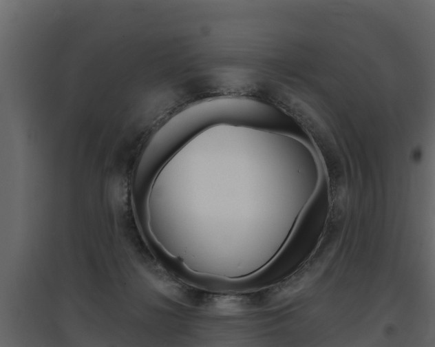 X0000097810268200803140805