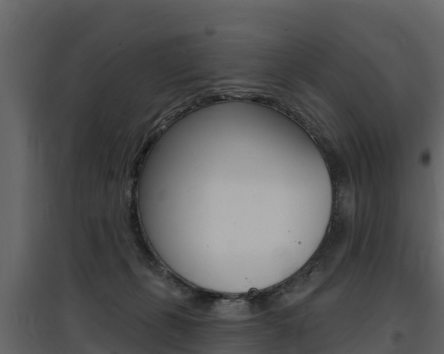 X0000097810271200803140805