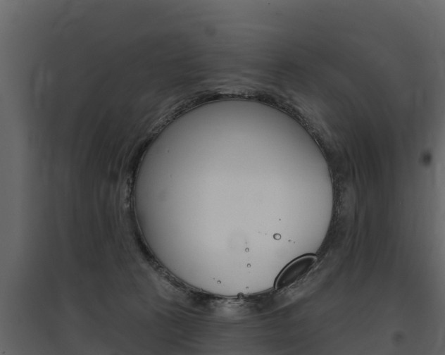 X0000097810273200803140805