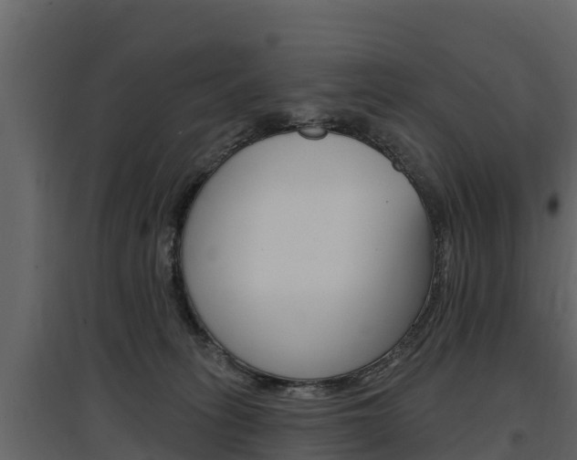 X0000097810275200803140805