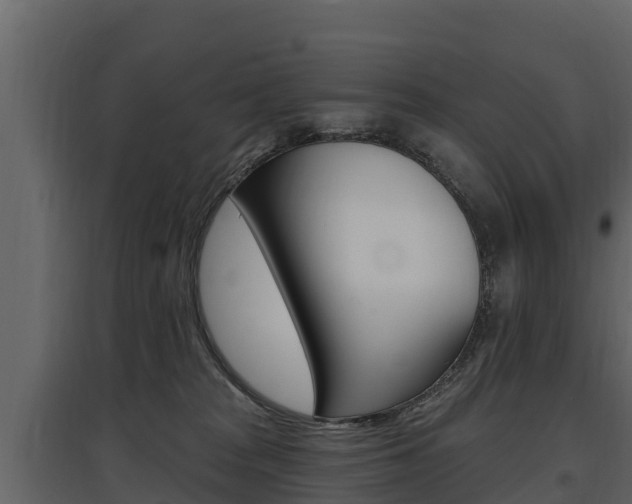 X0000097810277200803140805