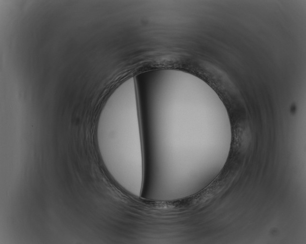 X0000097810278200803140805