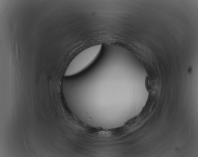 X0000097810279200803140805