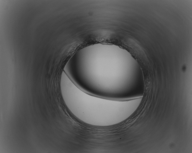 X0000097810280200803140805