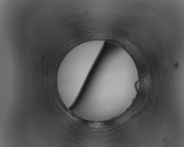 X0000097810281200803140805