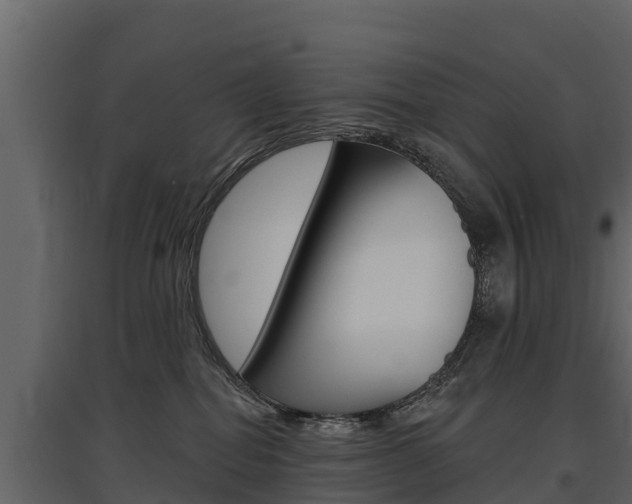 X0000097810282200803140805