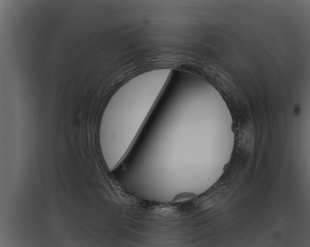 X0000097810283200803140805