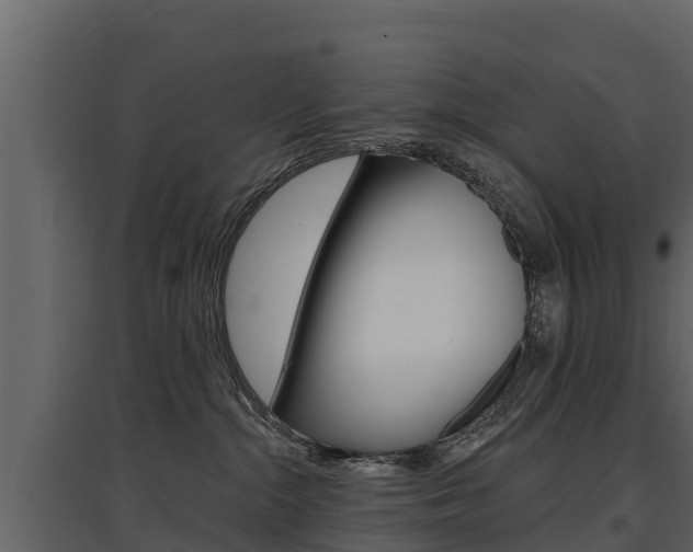 X0000097810284200803140805