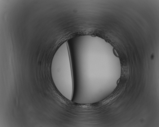 X0000097810286200803140805
