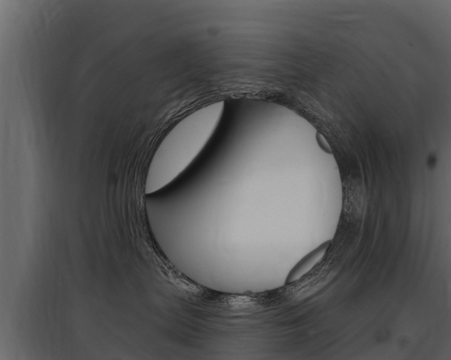 X0000097810287200803140805