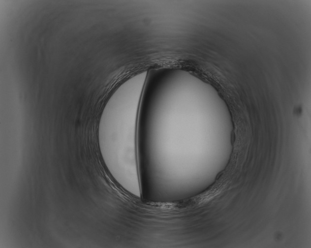 X0000097810288200803140805