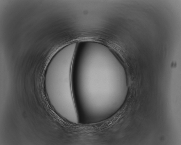 X0000097810289200803140805
