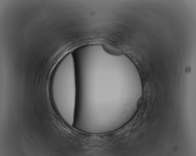 X0000097810290200803140805